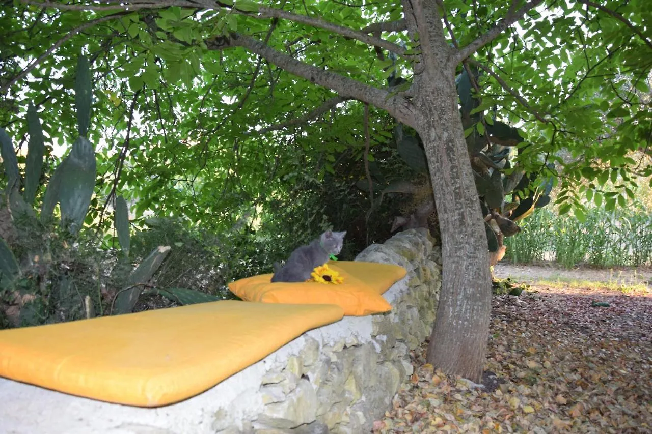 Casa Il Carrubbo Pension Frigintini Landhuis