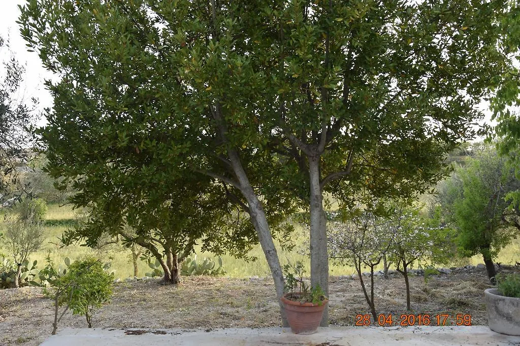 Casa Il Carrubbo Pension Frigintini 0*,  Italië