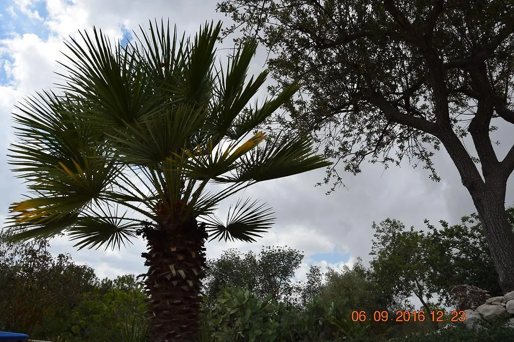 Casa Il Carrubbo Pension Frigintini